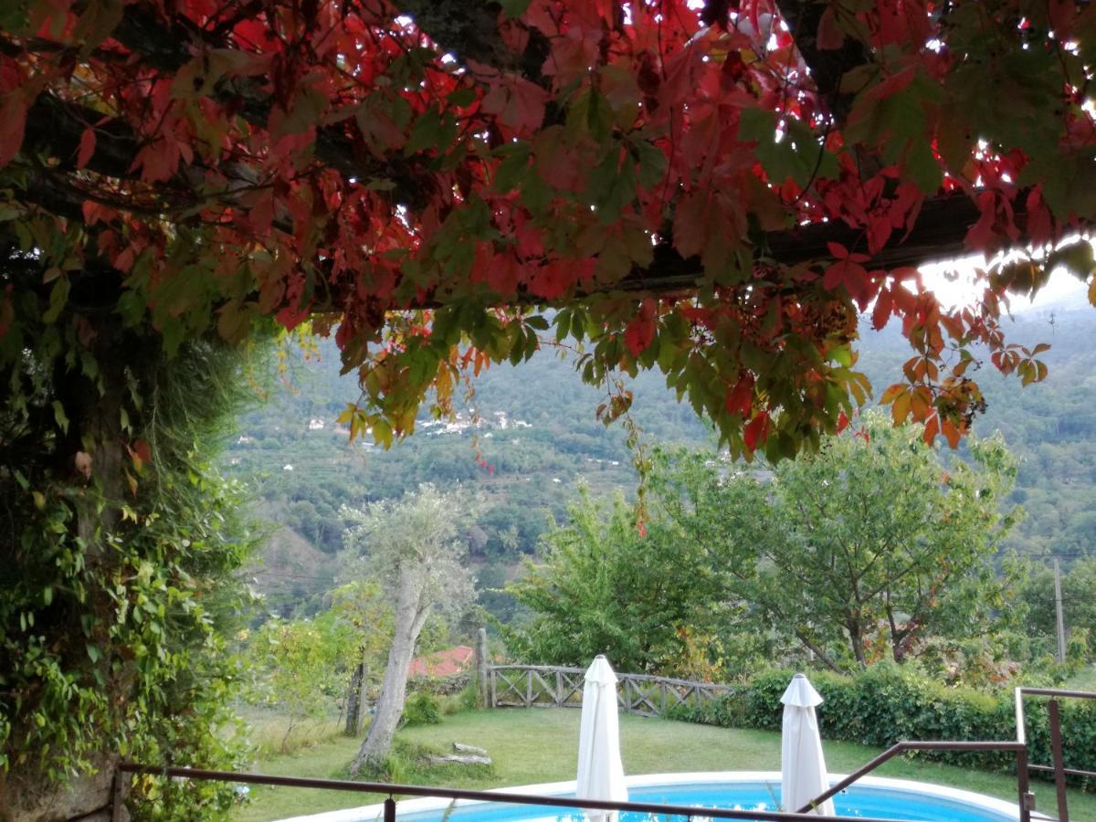 Casa Do Moleiro Guest House Cinfaes Exterior photo